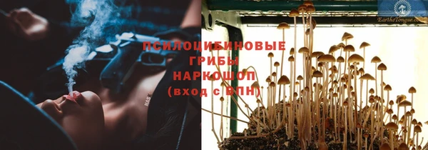 эйфоретик Алексин