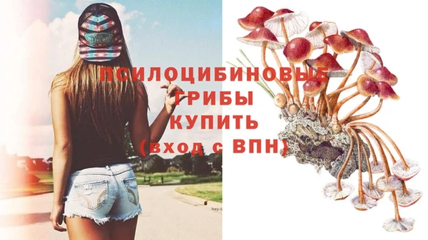 эйфоретик Алексин