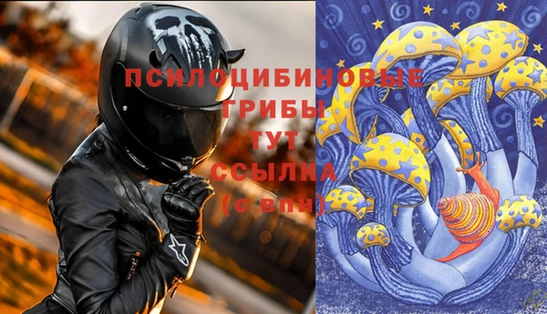 эйфоретик Алексин