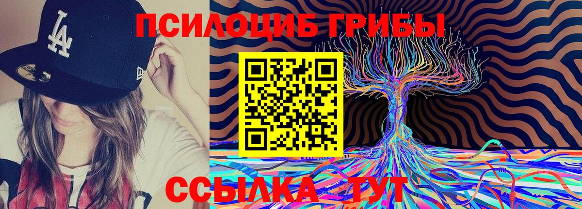 Псилоцибиновые грибы прущие грибы  Псилоцибиновые грибы Magic Shrooms  где купить   Кропоткин  Вход с VPN 