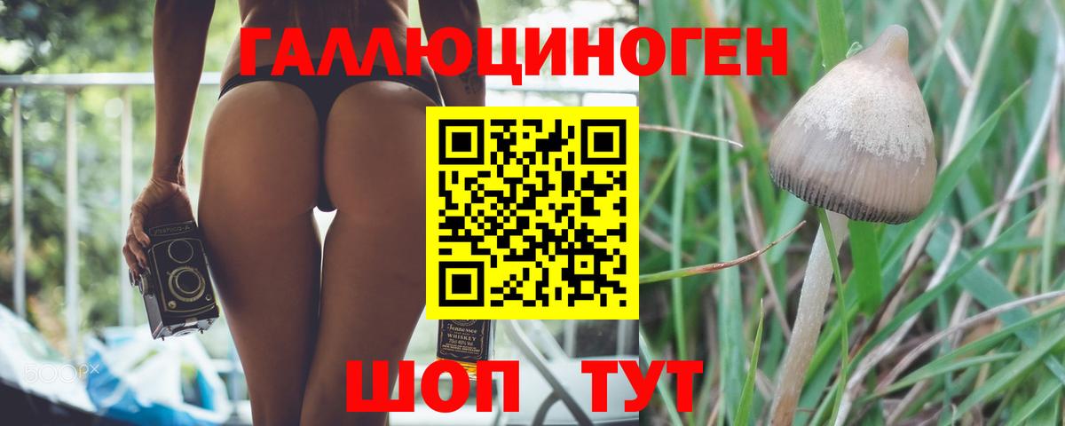 Псилоцибиновые грибы GOLDEN TEACHER Кропоткин